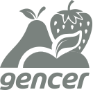 Gencer Premium Meyve Soğuk Hava Deposu Elektrik Projelendirme