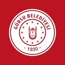 Gürsu Belediyesi Aydınlatma ve Enerji Projeleri